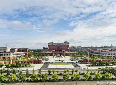 湖北省麻城市第一中学2024年招聘简章